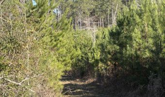 Delancey Road, Braxton, MS 39044