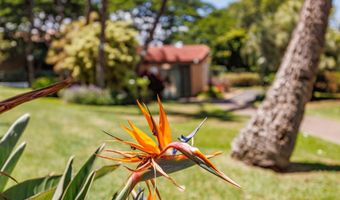 2191 S Kihei Rd 1118, Kihei, HI 96753