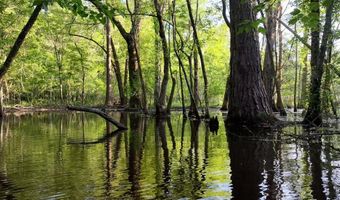 AMBOY RD, Arabi, GA 31712