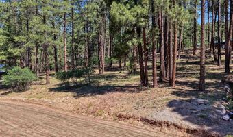 79 Spruce Way, Bayfield, CO 81122