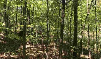 SHOAL CREST DRIVE lot 1 And 2, Ashville, AL 35953