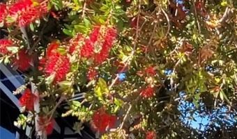 850 Sparrow Way Lot 22, Boulder City, NV 89005