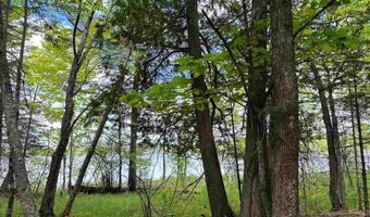 TBD W Shipley Rd, Alborn, MN 55702