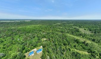 6002 Wildwood, Alger, MI 48610
