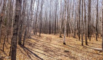 Tbd 285th Avenue, Akeley, MN 56433