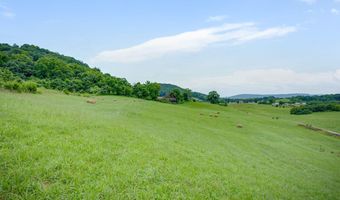 1385 Betsy Ross Rd, Afton, TN 37616