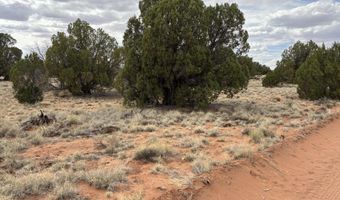 Tbd N5505, Concho, AZ 85924