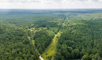 Burks Mountain Road, Appling, GA 30802