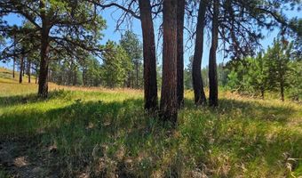 620 Davis Ranch Rd, Bellvue, CO 80512