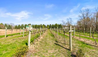 110 Beemer Rd, Beemer, NE 68716