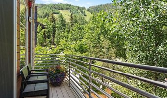 714 S Galena St B, Aspen, CO 81611