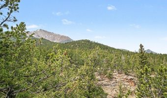 12190 Highway 7, Allenspark, CO 80510