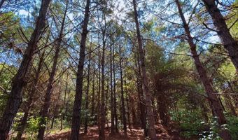 0 CR 320, Big Creek, MS 38914