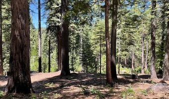 1619 Shoshone Dr, Arnold, CA 95223