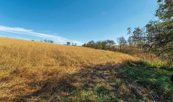 Lot 4 Prairie View Road, Argyle, WI 53504