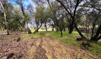 393 Blair Mine, Angels Camp, CA 95222
