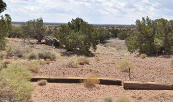 138 Jeff Lake Rd (CR N9230), Concho, AZ 85924