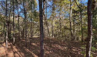 0 WALDROP Rd 10.82 Acres, Ashville, AL 35953