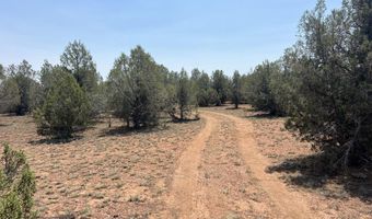 164 Rattlesnake Rd, Ash Fork, AZ 86320