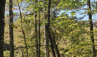 HURT HOLLOW RD, Banco, VA 22711