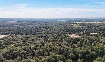 Tbd W Fm 489, Teague, TX 75860