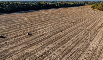 3431 Gladys Ct, Albany, GA 31705