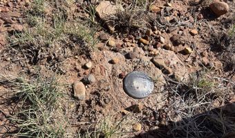 1342 County Road 5020, Concho, AZ 85924