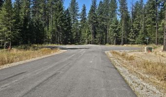 Lot 1 TJ Trail, Athol, ID 83801