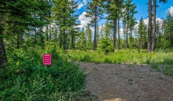 Lot 10 E Riley Loop, Athol, ID 83801