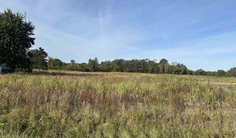 00 Sherman, Applegate, MI 48401