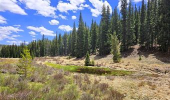 PCS # 10594 Looney Lane lot 0, Alma, CO 80420