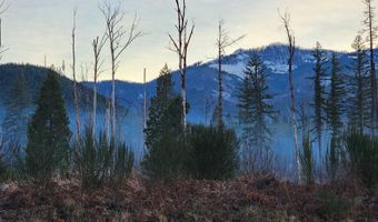 54432 MCKENZIE Hwy 23, Blue River, OR 97413