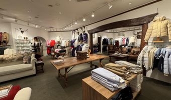 419 E Cooper Ave, Aspen, CO 81611