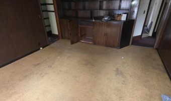 113 W Walnut St, Albion, MI 49224