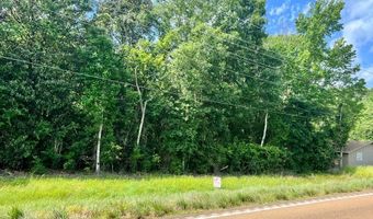 LOT 1 HWY 24, Centreville, MS 39631
