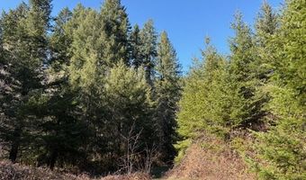 Steer Creek Rd, Blodgett, OR 97326