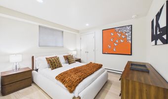 506 W Hallam St, Aspen, CO 81611