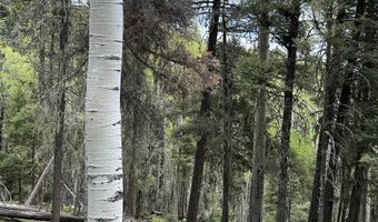 Lot 1419 Sacramento, Angel Fire, NM 87710