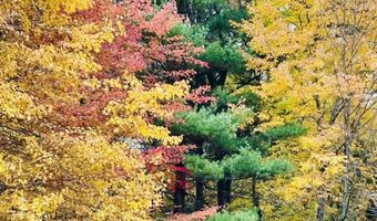 Lot 33 S Badger Lane, Arkdale, WI 54613