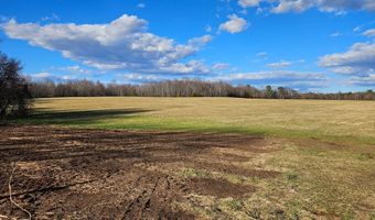 360 PATRICK HENRY HYWY Lot 2 & 3, Amelia Court House, VA 23002