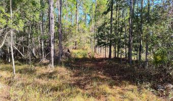 SMITH STREET, Astor, FL 32102