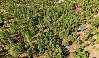 11 County Road 2135, Alpine, AZ 85920
