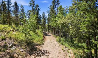 212 Elk Pl, Black Hawk, CO 80422