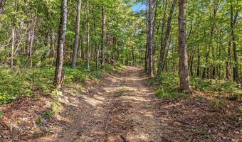 417 MALLARD Dr, Basye, VA 22810