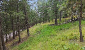 435 Windsor Dr, Bigfork, MT 59911