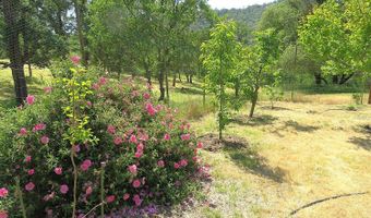 3528 Appaloosa Way, Angels Camp, CA 95222