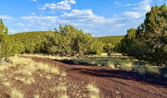 37 Co Rd N8174 10.1 Acres, Concho, AZ 85924