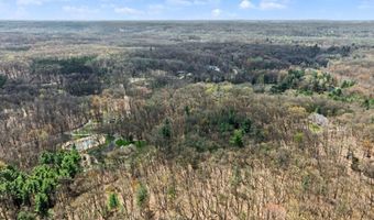 8965 Vergennes St SE, Ada, MI 49301