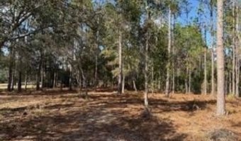 2629 NW 29th Ter, Bell, FL 32619