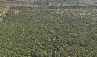 RT 317, Georgetown, DE 19947